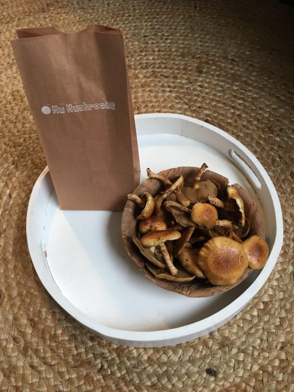 Nameko Mushrooms - 8 oz bag