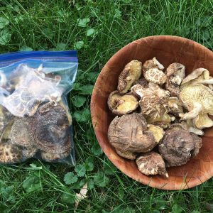 Dried shiitake mushrooms